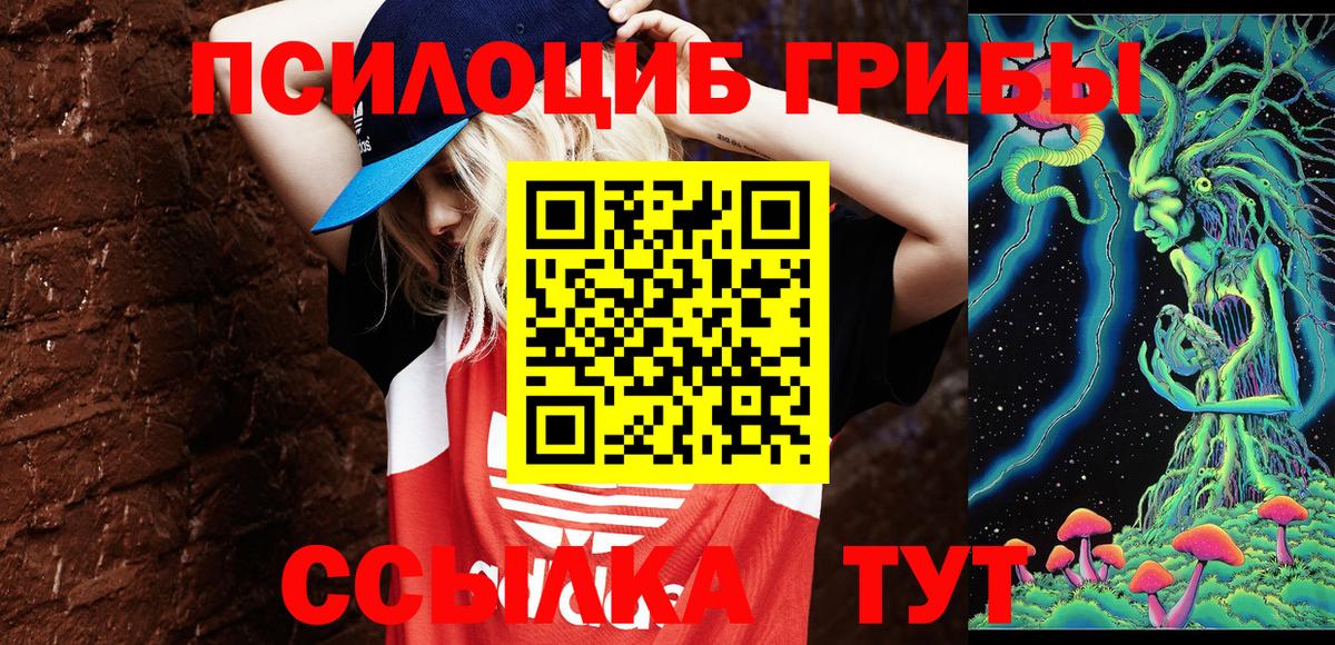 Галлюциногенные грибы MAGIC MUSHROOMS  Вход с VPN  наркота  Заволжье 