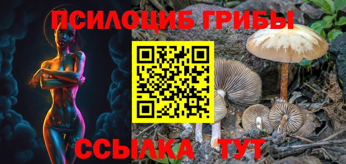 Псилоцибиновые грибы ЛСД Заволжье